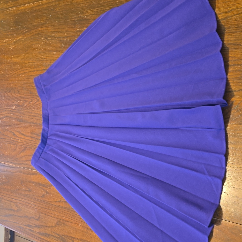 Baroness De Wayne Skirt size 12